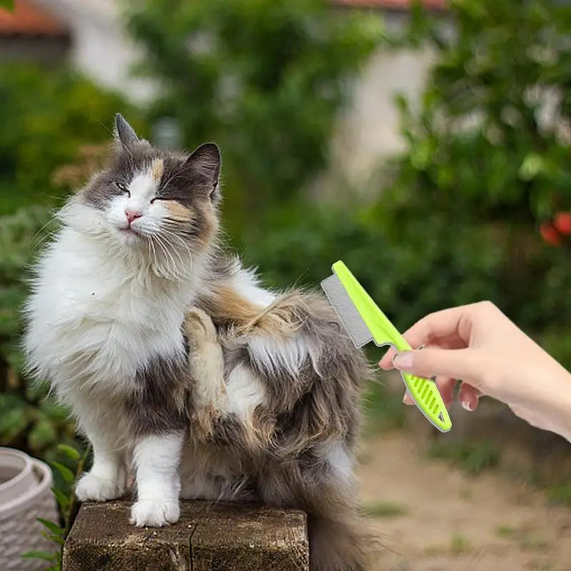 Pet Tick Removal Tool Comprehensive Flea Remover Tick Control Products for Pets Traveling Training Outing home Pet Supplies