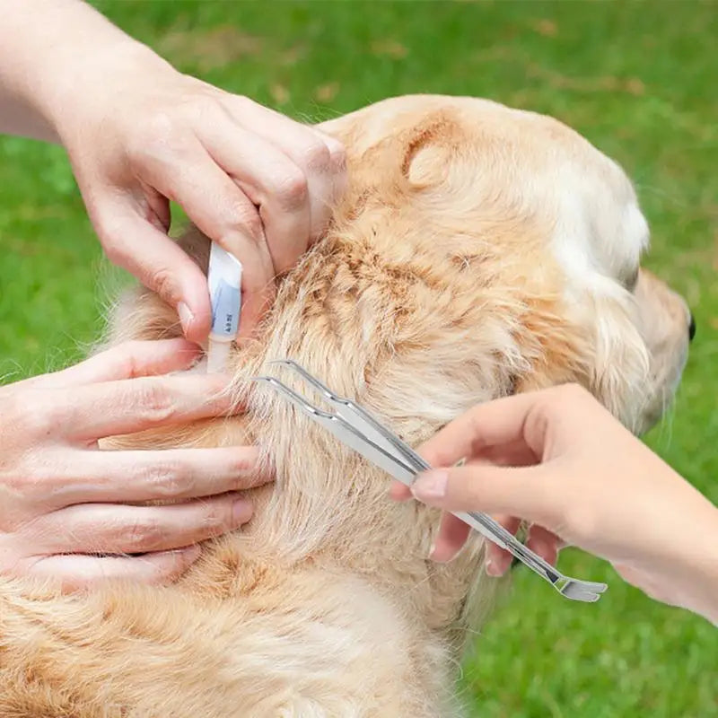Pet Tick Removal Tool Comprehensive Flea Remover Tick Control Products for Pets Traveling Training Outing home Pet Supplies