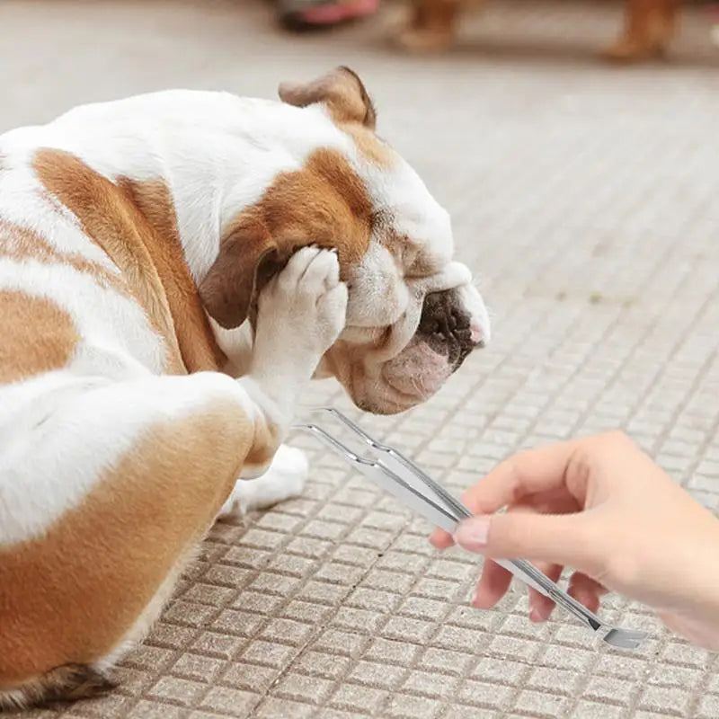Pet Tick Removal Tool Comprehensive Flea Remover Tick Control Products for Pets Traveling Training Outing home Pet Supplies