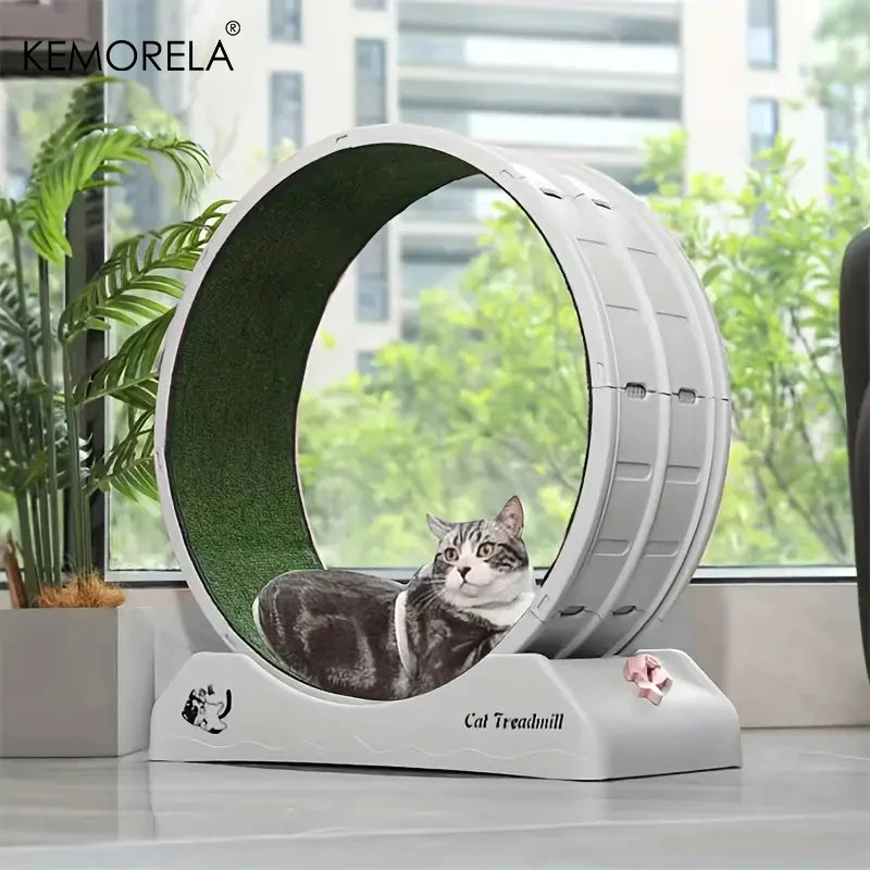 KEMORELA Indoor Assembly Cat Roller Treadmill Cat Treadmill With Locking Mechanism For Cat Physical Exercise Activities